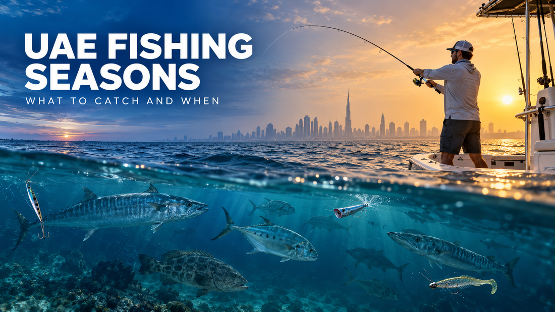 UAE Fishing Seasons: What to Catch and When