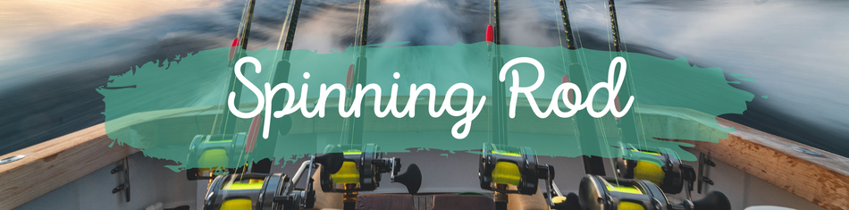 Neck Pinning Roids Spinning Rods – Jighead