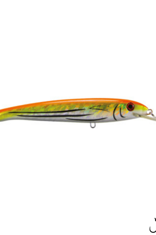 Mazuzee Floating Lure | 160mm | 30g