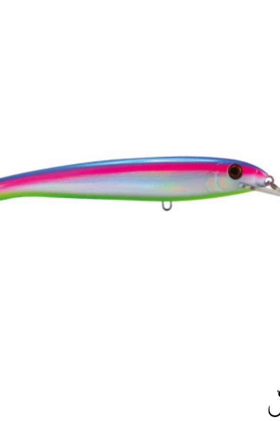 Mazuzee Floating Lure | 160mm | 30g