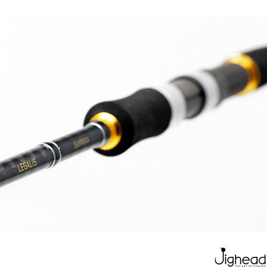 Daiwa Legalis Sea Bass 8ft- 9.6ft Spinning Rod