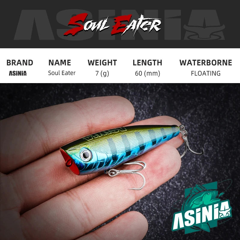 ASINIA Popper | 6cm | 6.5g