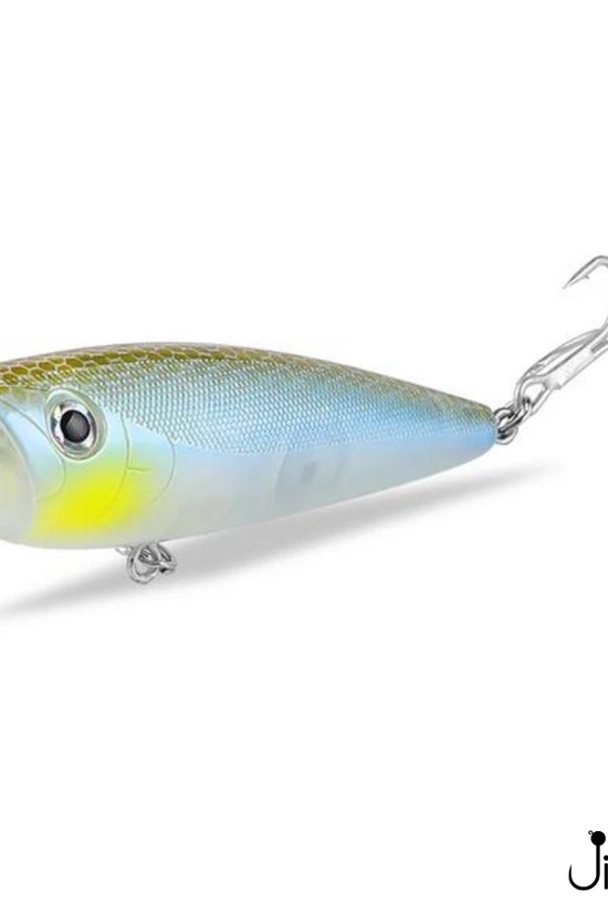 ASINIA Popper | 6cm | 6.5g