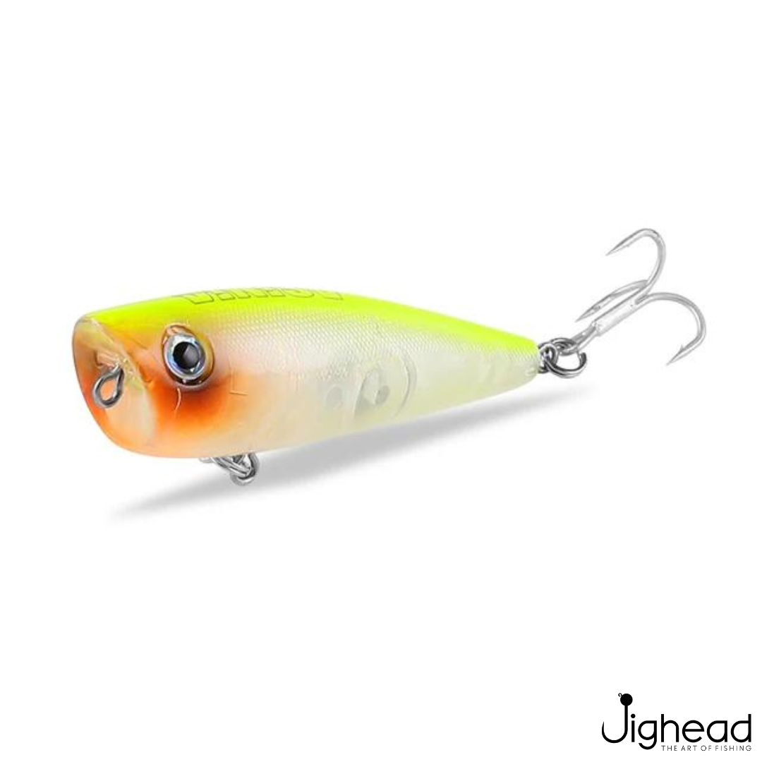 ASINIA Popper | 6cm | 6.5g