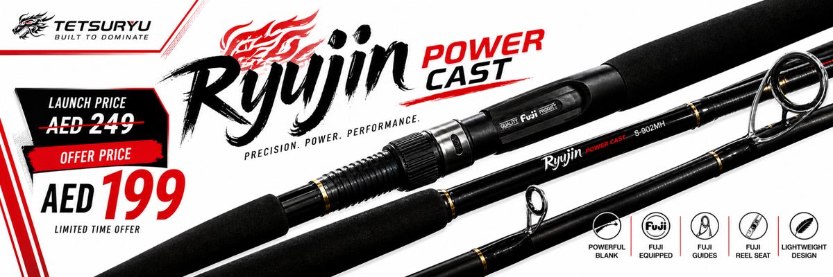 TETSURYU Ryujin Power Cast spinning rod offer