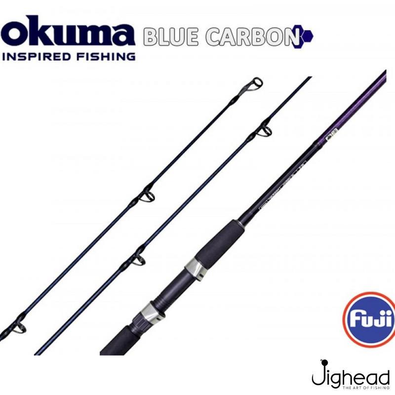 Okuma Blue Carbon 9ft Fuji Guide Spinning Rod