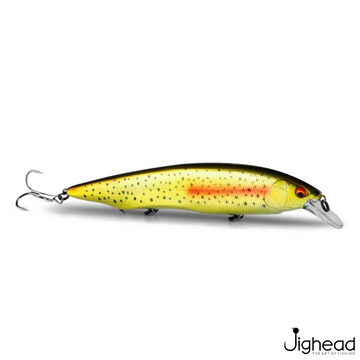 Golden Trout-B