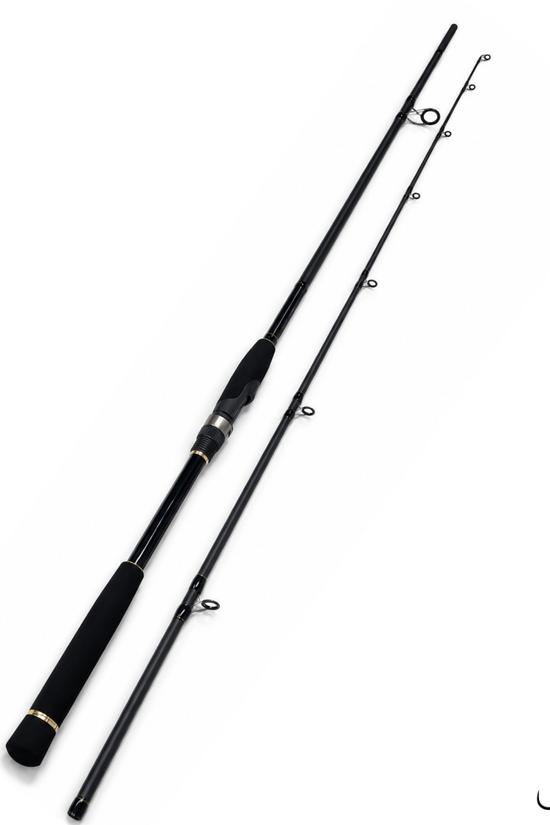 TETSURYU Ryujin Power Cast  9ft Spinning Rod