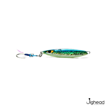 Yellow Fin Tuna(YFT)