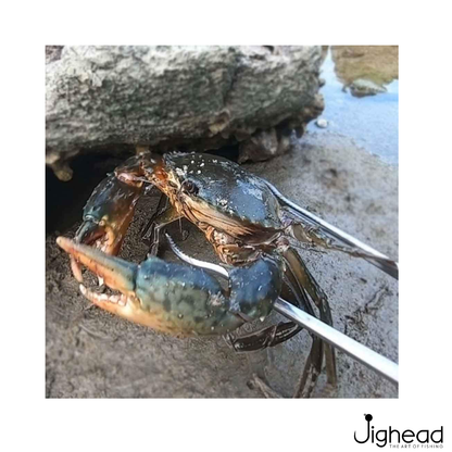 Multi-Function Crab Tongs 14.5 inch 37 cm Metal ABS Anti-Slip Grip Crab tongs gripping a live crab safely