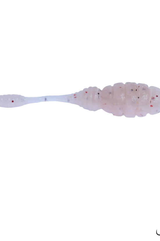 Good Meal Pintail | 1.5inch | 8pcs