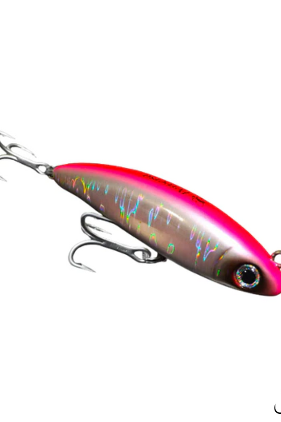 Borboleta Perversa Hard Lures | 10cm (4