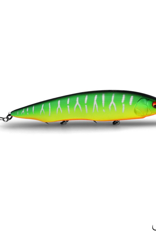Bearking M160 Kanata Hard lure | 160mm | 30g