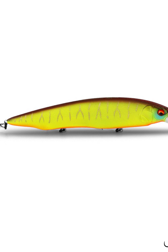 Bearking M160 Kanata Hard lure | 160mm | 30g