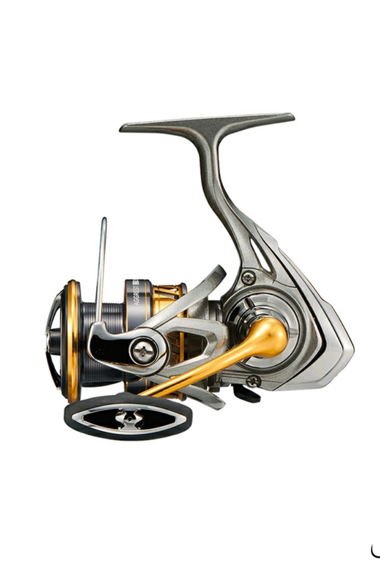 Daiwa Aggrest LT3000-LT6000D-H Spinning Reels