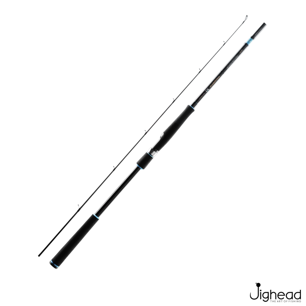 Favorite Spinning Fishing Rods Canne 1 High modulus Carbon Stem