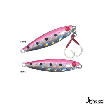 Pink Sardine
